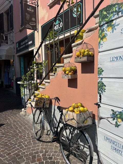 Bike with Lemons